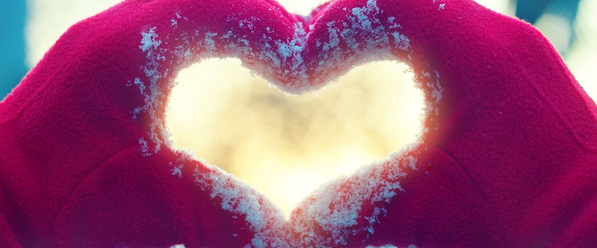 Seven Ways to Give Back This Holiday Season