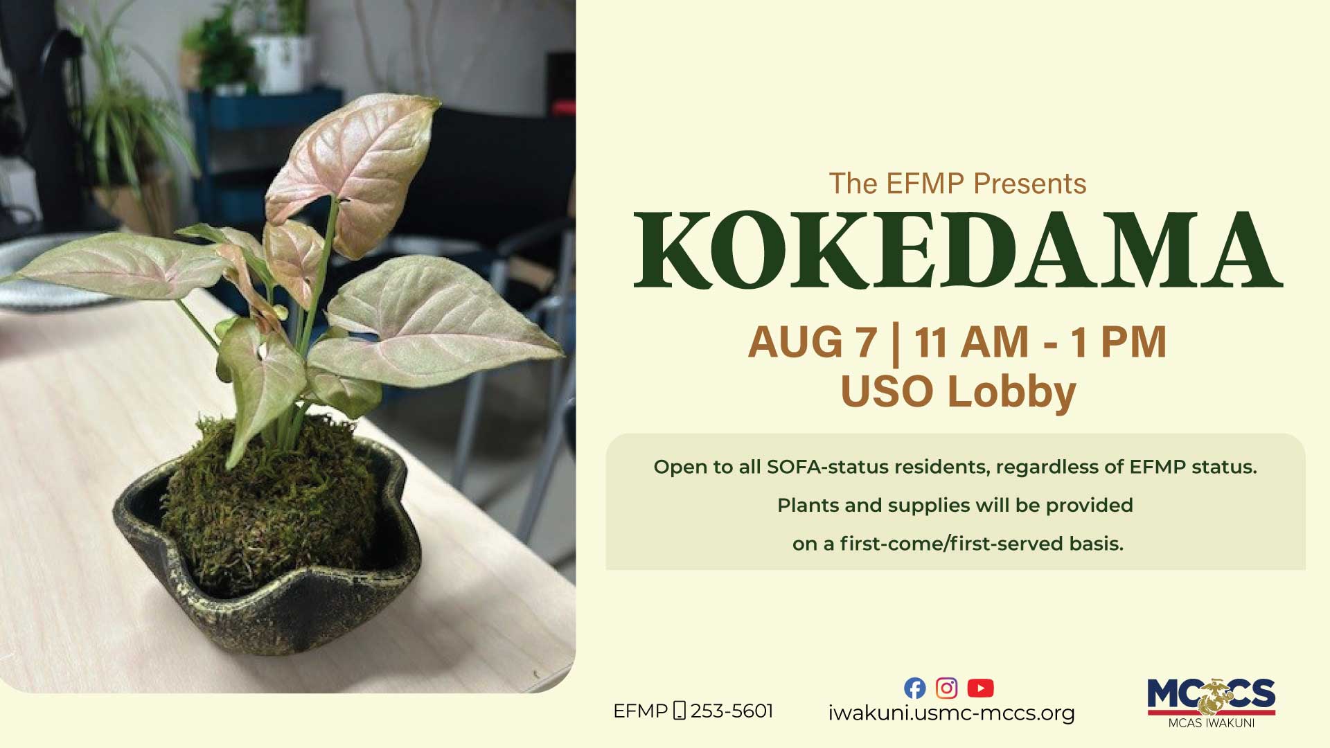 Make a Kokedama Planter