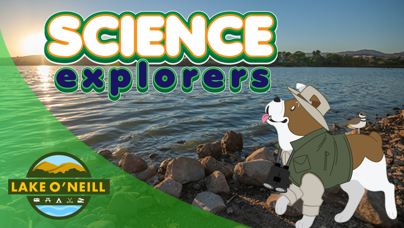 Science Explorers: Tracking and Animal Signs