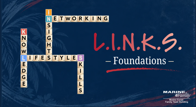 L.I.N.K.S. The Maze