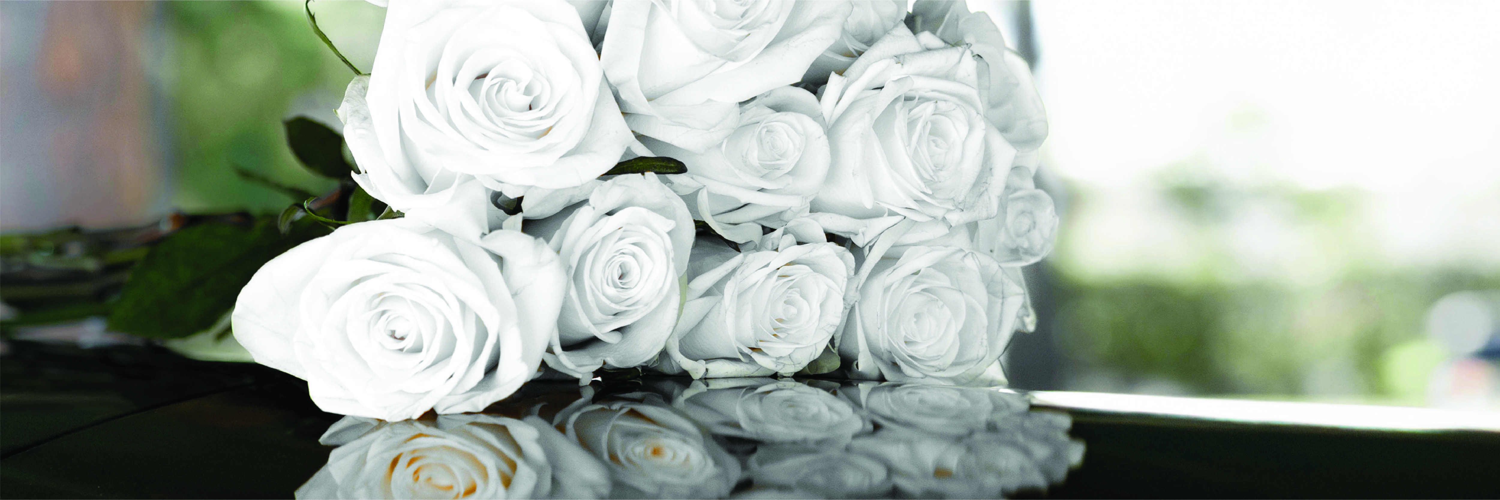 Unbroken Bond: Honoring Marine Corps Gold Star Spouses