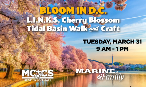 Bloom in DC