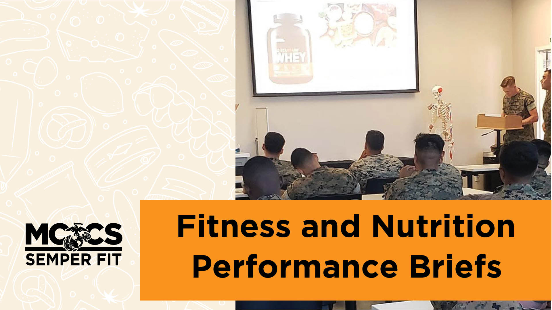 Fitness and Nutrition Performance Briefs