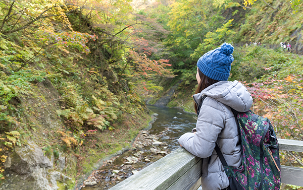 Hiking Trip to Mt. Kintoki