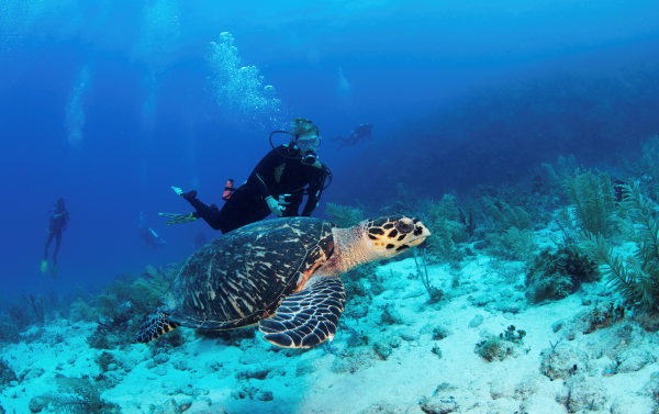 PADI Open Water Diver Course