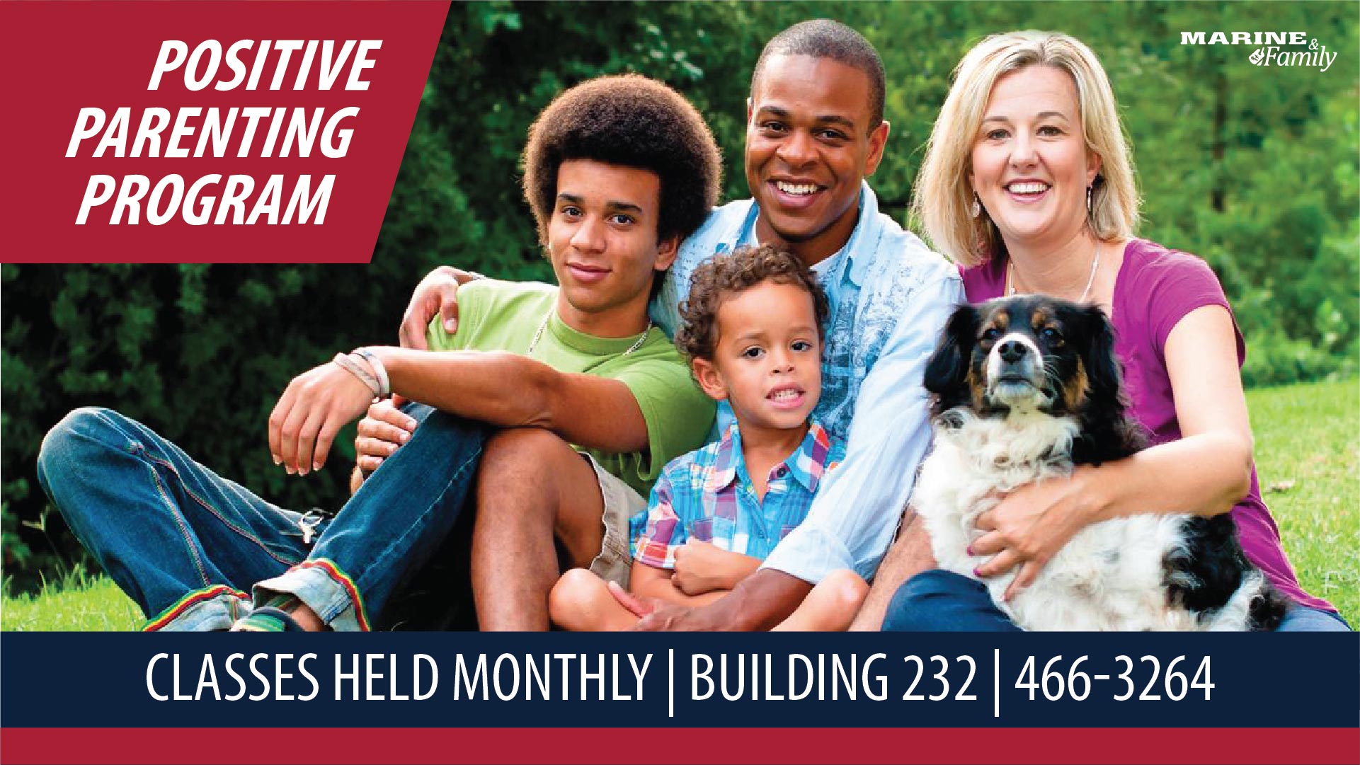 Positive Parenting Program (Ages 12-18)